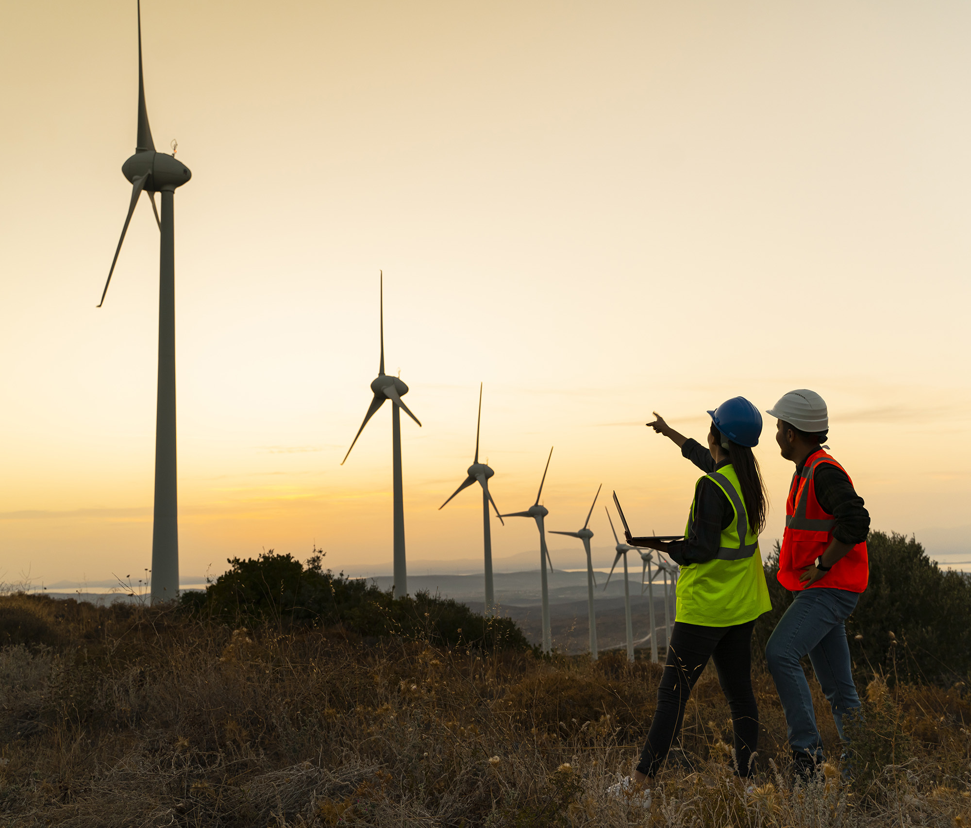 Environmental Planner