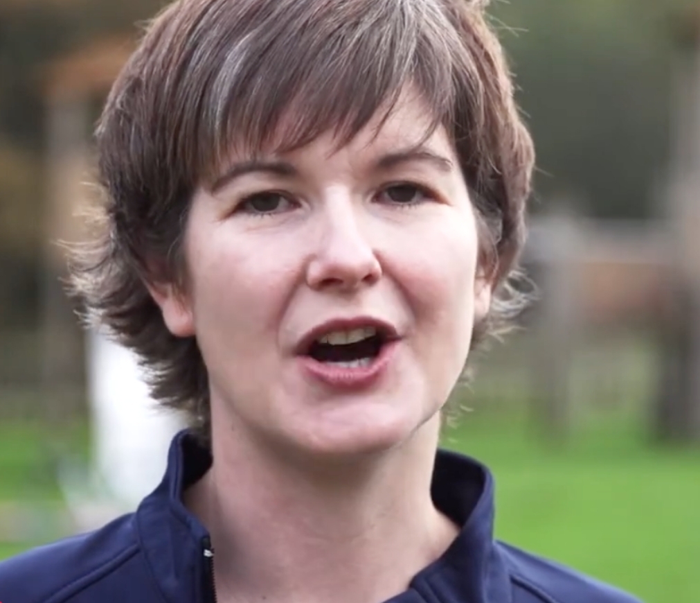 The Community Manager