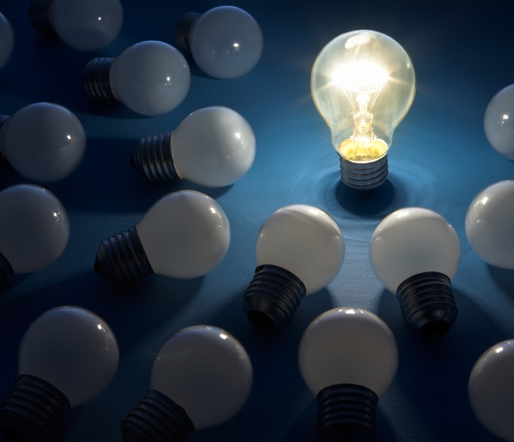 The Head of Electricity and Network Development